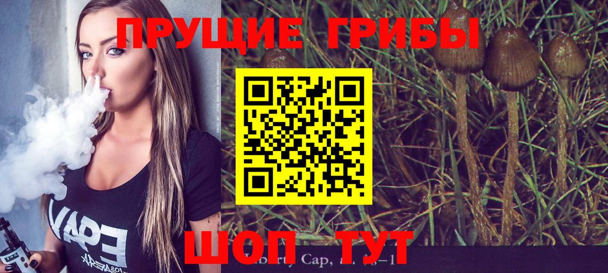 Псилоцибиновые грибы мицелий  Галлюциногенные грибы мухоморы  Прокопьевск  Вход с VPN 