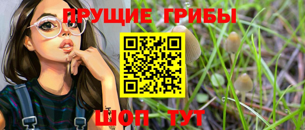 Галлюциногенные грибы Magic Shrooms Прокопьевск